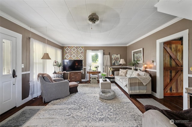 living room featuring a barn door, crown molding, and dark hardwood / wood-style floors