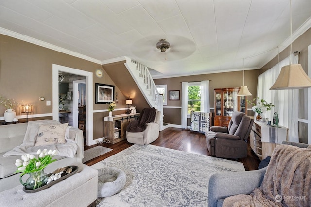 living room with ceiling fan, crown molding, and dark wood-type flooring