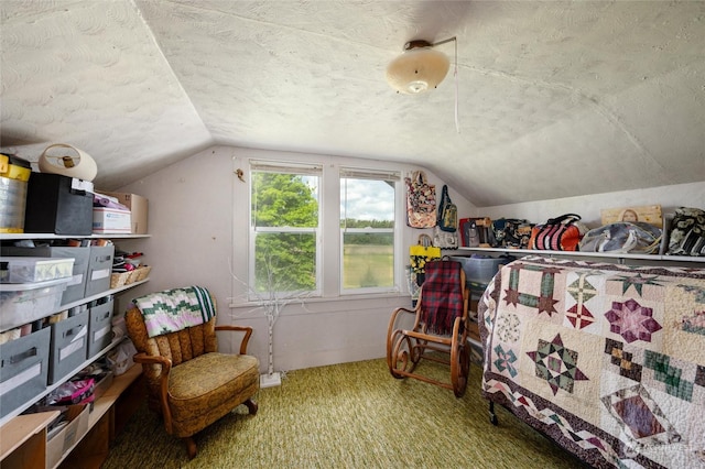 interior space featuring a textured ceiling and lofted ceiling