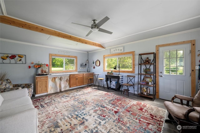 living room with ceiling fan, ornamental molding, and a wealth of natural light