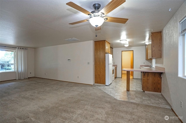 unfurnished living room with sink and light carpet