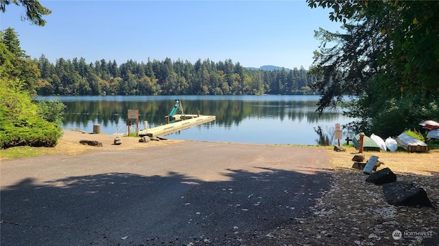 property view of water featuring a dock