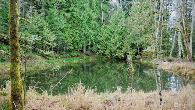 view of landscape with a water view