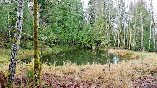 view of landscape featuring a water view