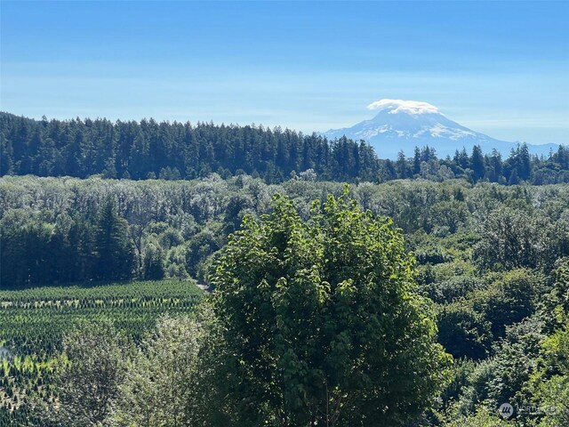1546 Reservation Rd SE Unit 27, Olympia, WA 98513 - photo 28