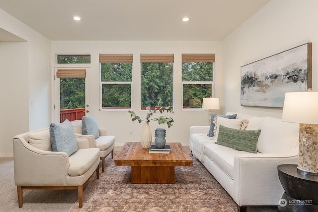 living room featuring dark colored carpet