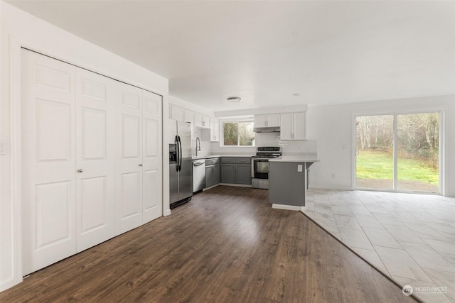 kitchen featuring dark hardwood / wood-style floors, stainless steel appliances, decorative backsplash, and plenty of natural light