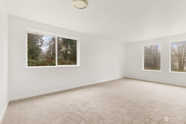 spare room featuring a healthy amount of sunlight and carpet floors