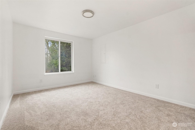 unfurnished room with carpet floors