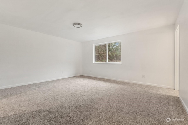 spare room with carpet flooring