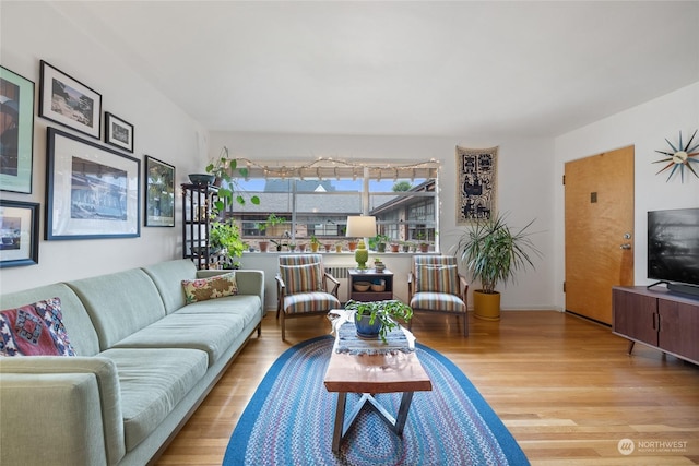 living room featuring hardwood / wood-style floors