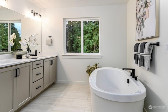 bathroom featuring a washtub, a wealth of natural light, and vanity