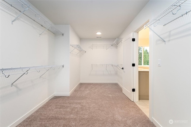 walk in closet with light colored carpet