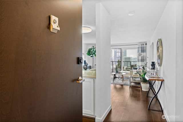 hall featuring dark hardwood / wood-style flooring