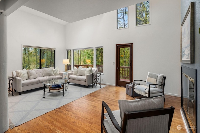 living room with a high ceiling and light hardwood / wood-style flooring