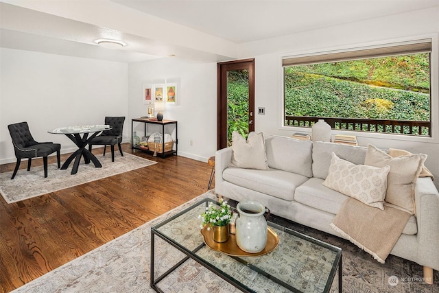 living room featuring dark wood-type flooring