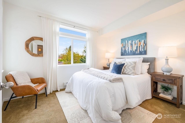 view of carpeted bedroom