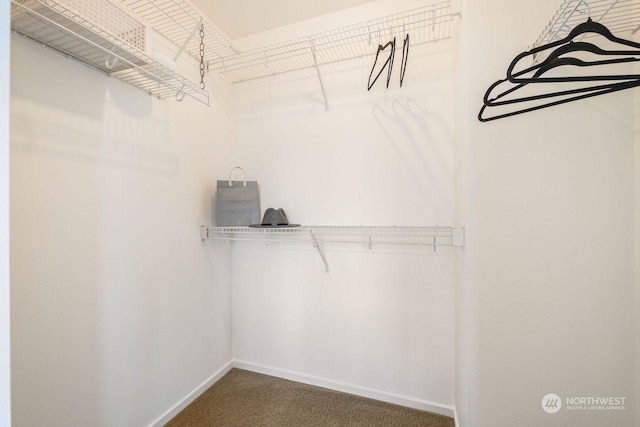 spacious closet featuring dark carpet