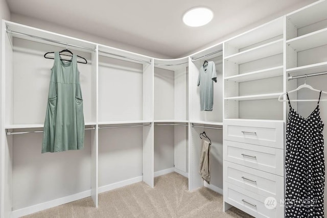 spacious closet with light carpet