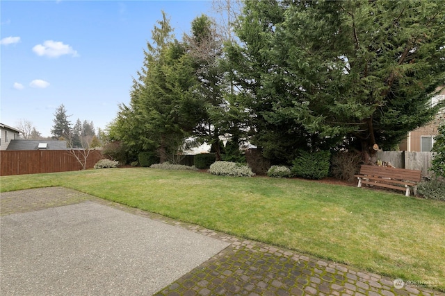 view of yard featuring a patio area