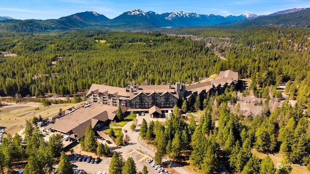 aerial view with a mountain view