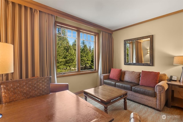 living room featuring crown molding