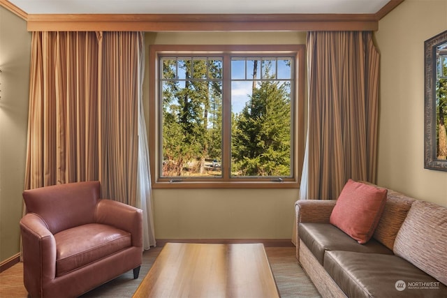 living room with hardwood / wood-style flooring