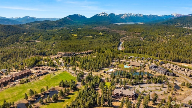 bird's eye view featuring a mountain view