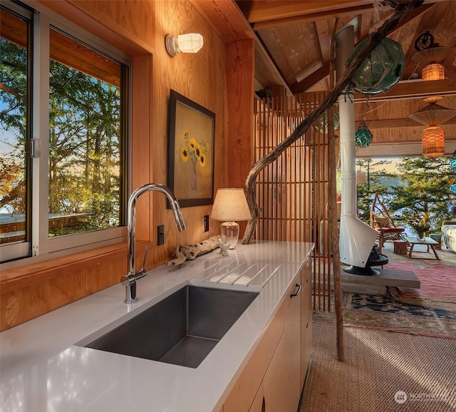 interior space featuring sink, lofted ceiling, wood walls, and carpet flooring