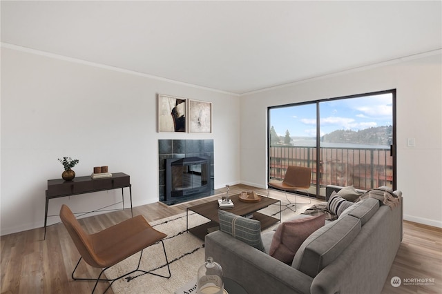 living room featuring a tiled fireplace, light hardwood / wood-style flooring, and crown molding