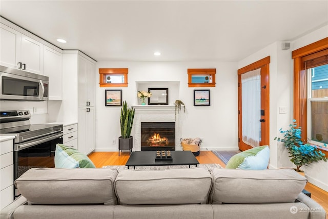 living room featuring light wood-type flooring