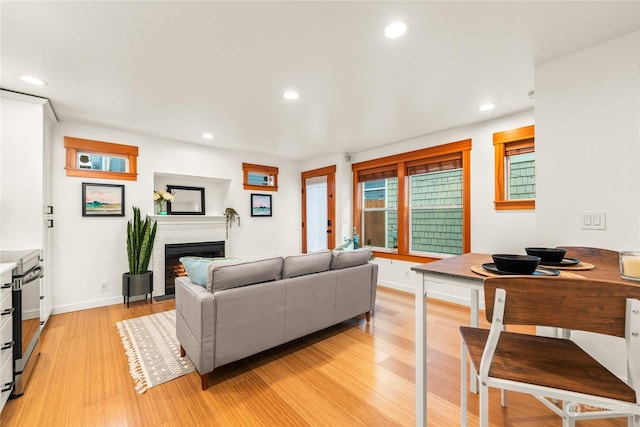 living room with light wood-type flooring