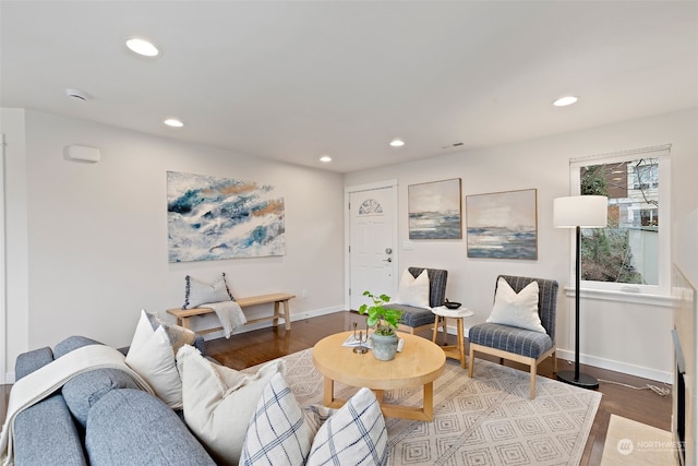 living room featuring hardwood / wood-style flooring