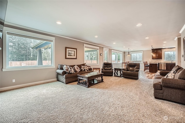 living room featuring crown molding and light colored carpet