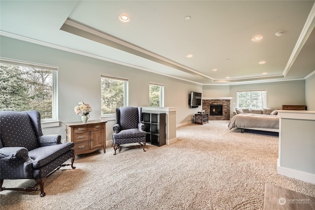 carpeted bedroom with ornamental molding, a fireplace, a raised ceiling, and multiple windows