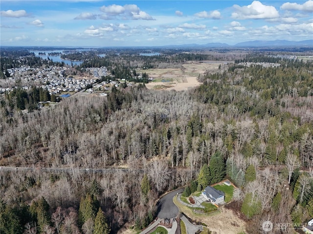 bird's eye view featuring a mountain view and a forest view