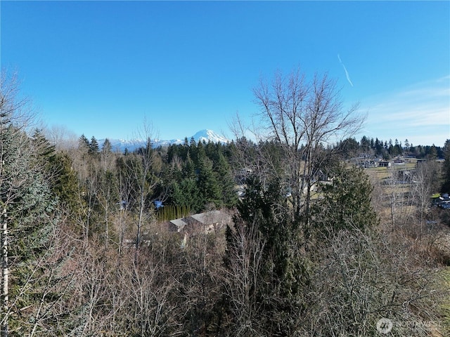 view of nature featuring a wooded view