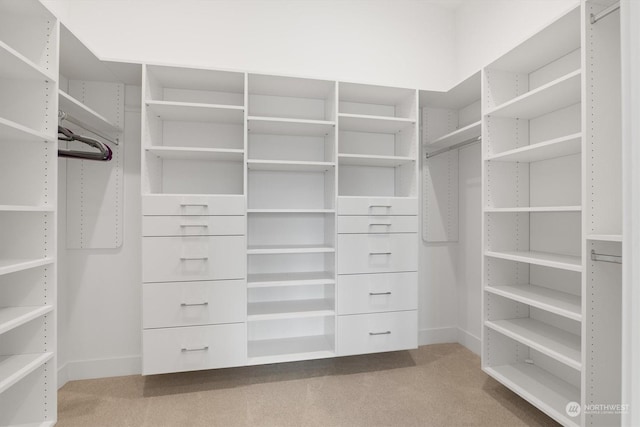 spacious closet featuring light carpet