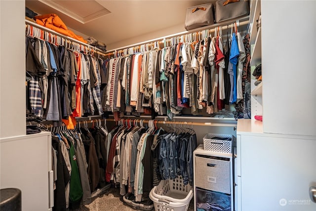 spacious closet featuring carpet floors