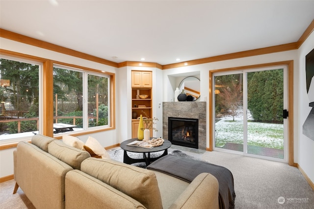 living room with crown molding and carpet