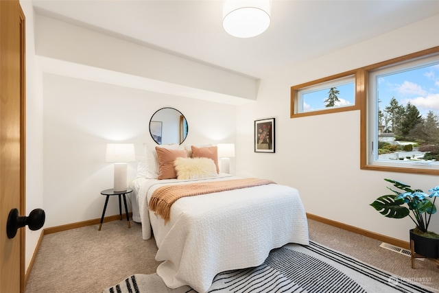 bedroom featuring carpet