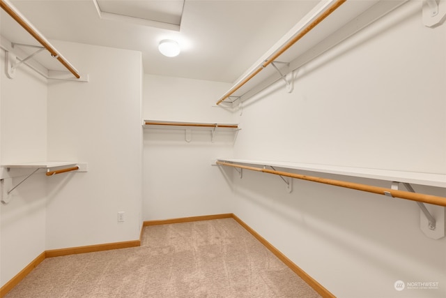 walk in closet with light colored carpet