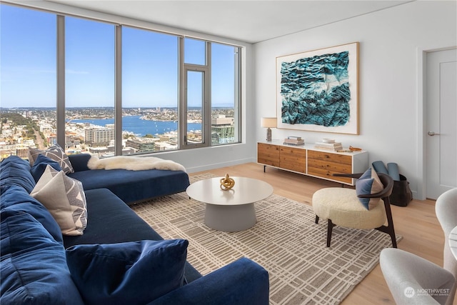 living room featuring hardwood / wood-style floors and a water view