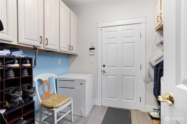 clothes washing area featuring light wood-type flooring