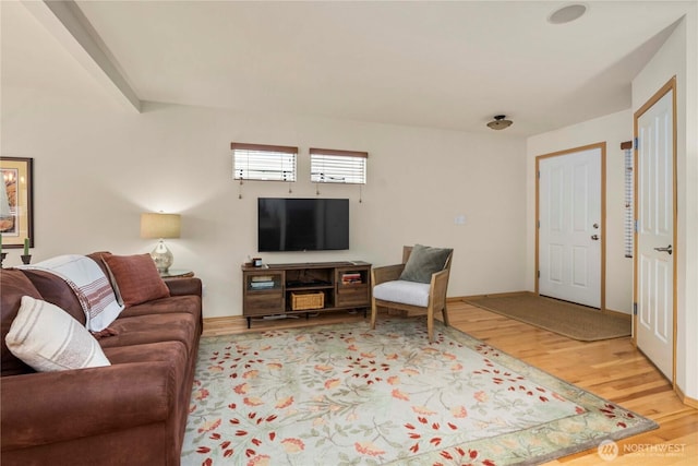 living room featuring light wood finished floors