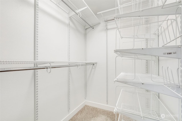 spacious closet featuring carpet