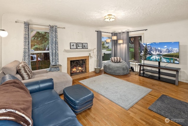 living room with a textured ceiling and hardwood / wood-style floors