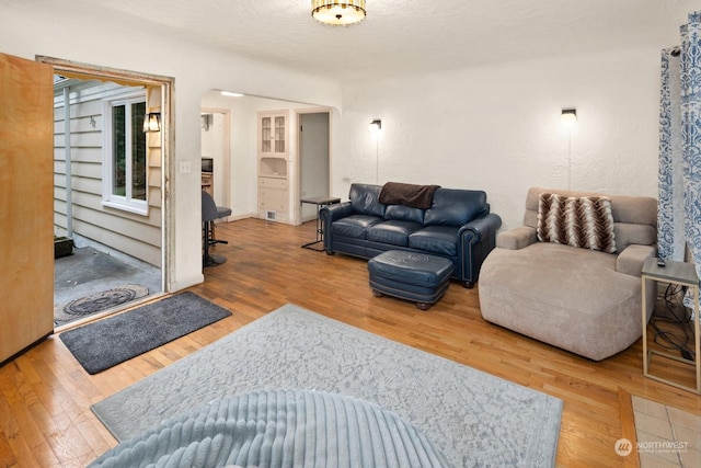 living room with wood-type flooring