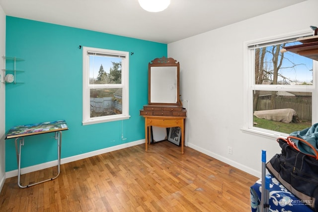 miscellaneous room featuring light wood-type flooring and plenty of natural light