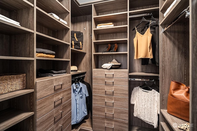 view of walk in closet